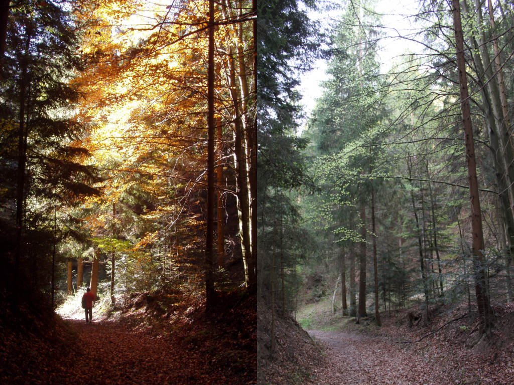 Abbildung 2: Der Weg einst und jetzt.