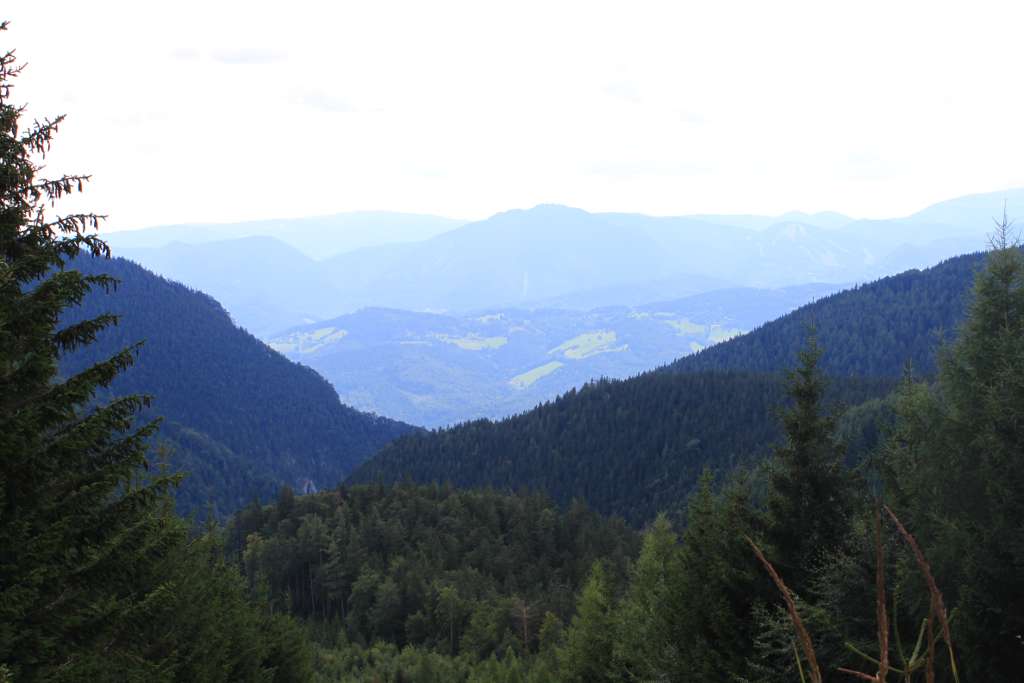 Abbildung 8: Auf dem Weg von Lackerboden zur Knofeleben vorbei am Krummbachstein
      ergibt sich schon mal ein Ausblick auf die Eng, wobei man im Hintergrund noch den Kreuzberg
      und den Sonnwendstein sehen kann.