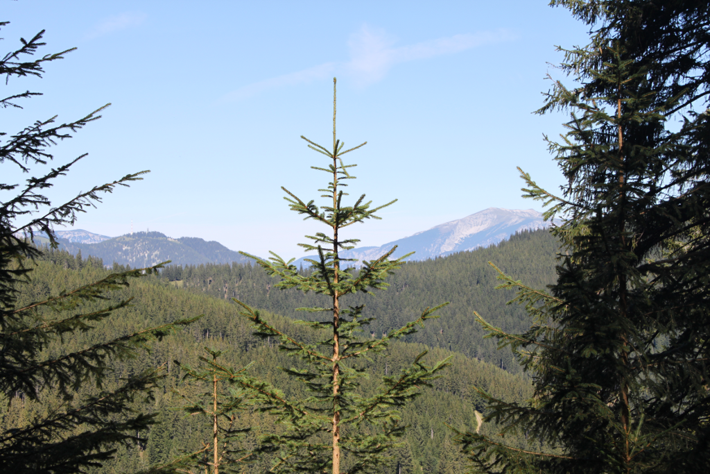 Abbildung 2: Ein Ausblick auf Sonnwendstein und Schneeberg