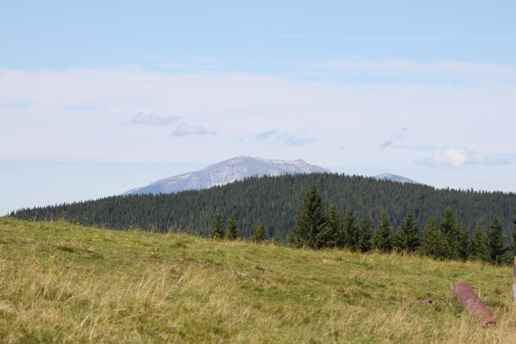 Abbildung 9:  Noch ein Teleobjektiv-Bild kurz bevor man wieder in den Wald kommt. Diesmal vom Schneeberg.