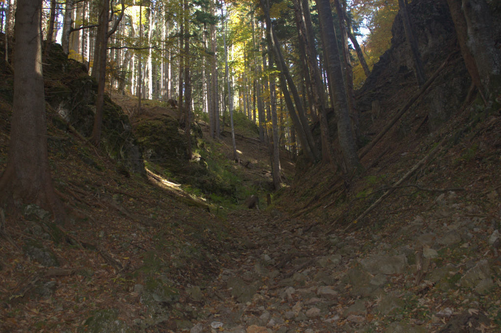 Abbildung 9:
      Der Weg am Ende vom Lackerbodengraben. Hier sieht man auch den angenehmen gleichmäßigen Anstieg des Weges.