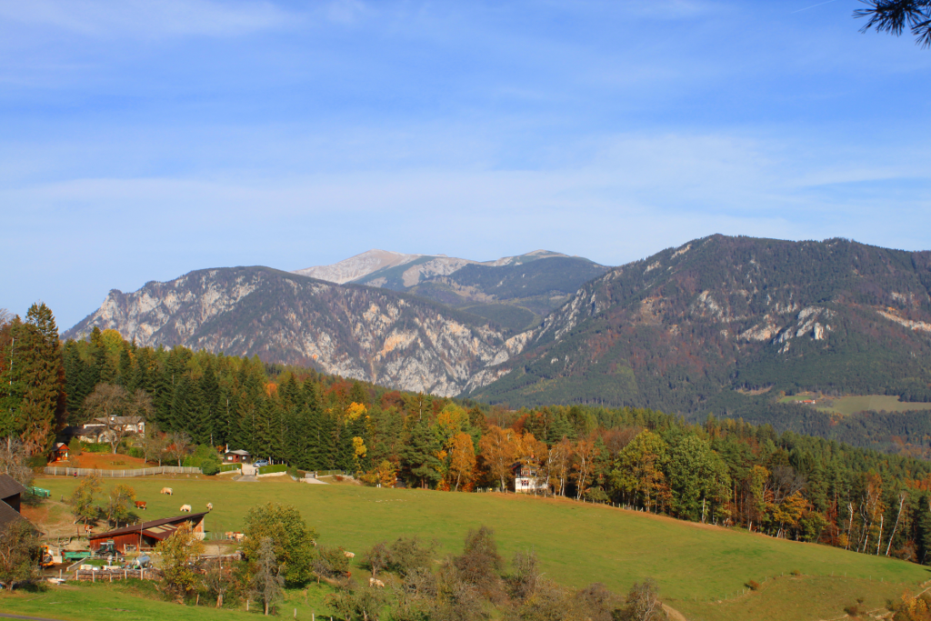 Abbildung 14:
      Aussicht auf die andere Seite des Kreuzbergs in Richtung Mittagstein, Schneeberg, Saurüssel