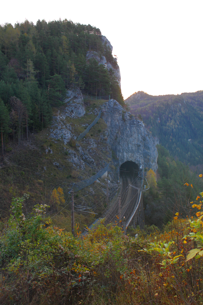 Abbildung 2:
      Ein Foto vom Blickpunkt auf die Weinzettlwand