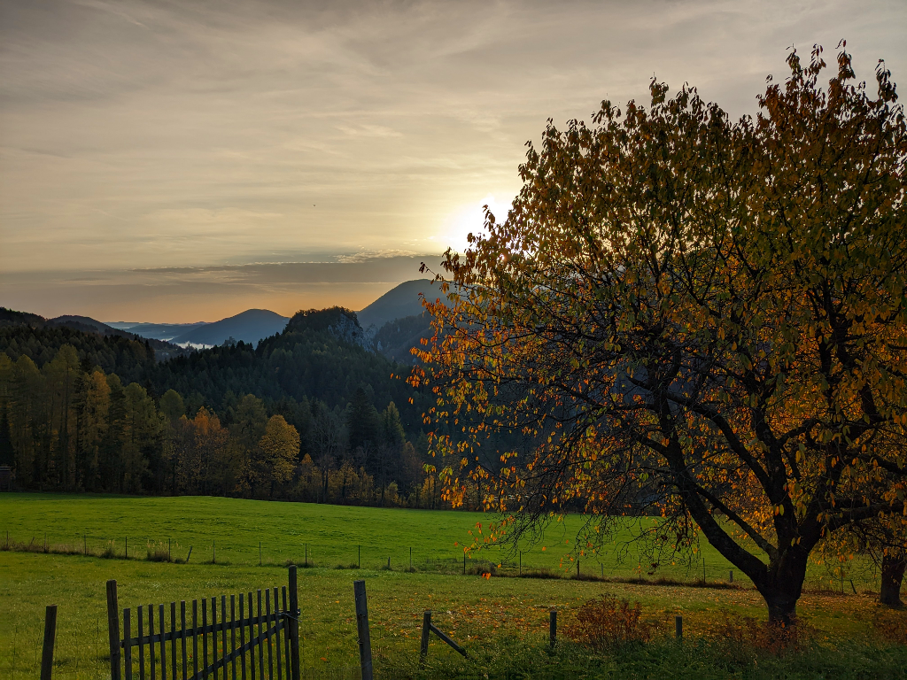 Abbildung 4:
      Wunderschöne Herbst-Impressionen entlang des Wegs